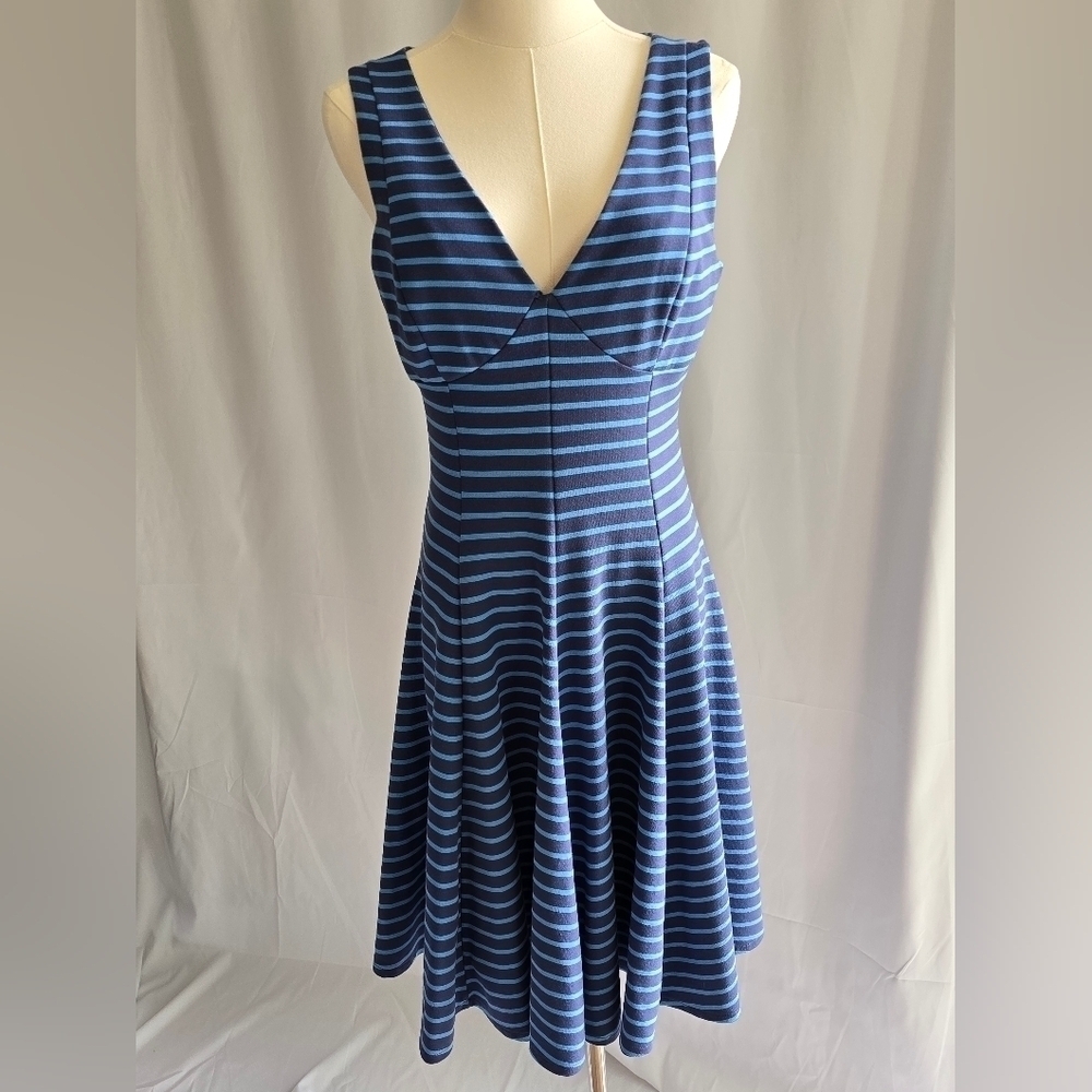 Peter Som Blue Striped Fit and Flare Sleeveless Dress Sz. 6